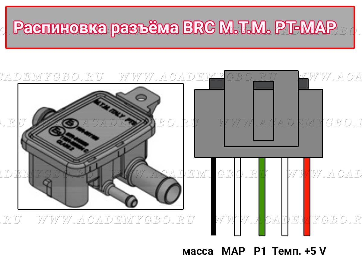 MTM PT MAP-сенсор BRC/ DREAM